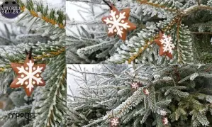 Perníkové hvězdičky - ozdoby na stromeček