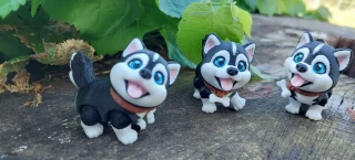 Husky štěně