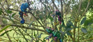 Chameleon